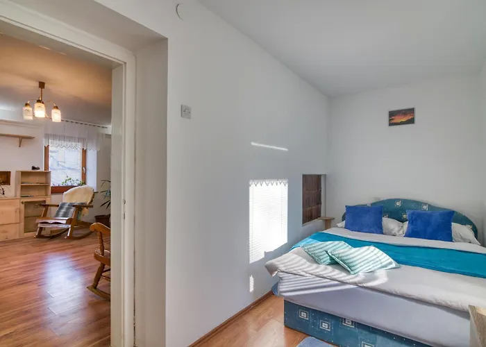 Blackberry Pool & Wellness- Happy * Vransko