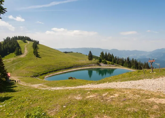 Blackberry Pool & Wellness- Happy Vakantiehuis *